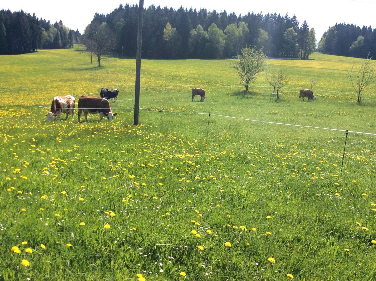 Ferienbauernhof Koller Villa Helfenberg Bagian luar foto