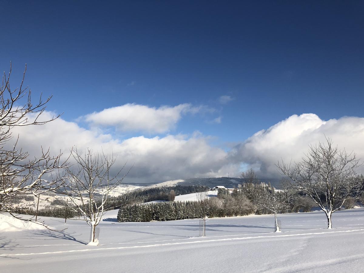 Ferienbauernhof Koller Villa Helfenberg Bagian luar foto