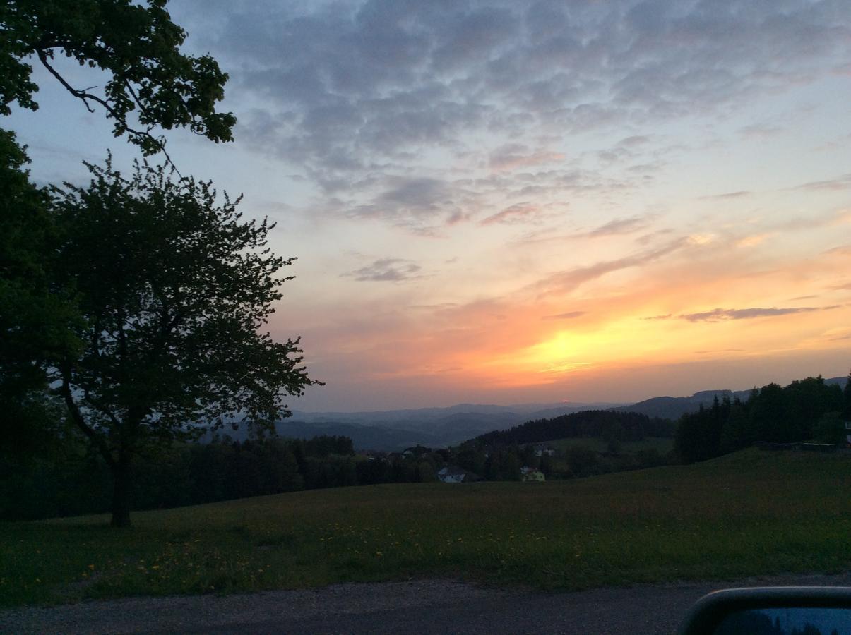 Ferienbauernhof Koller Villa Helfenberg Bagian luar foto