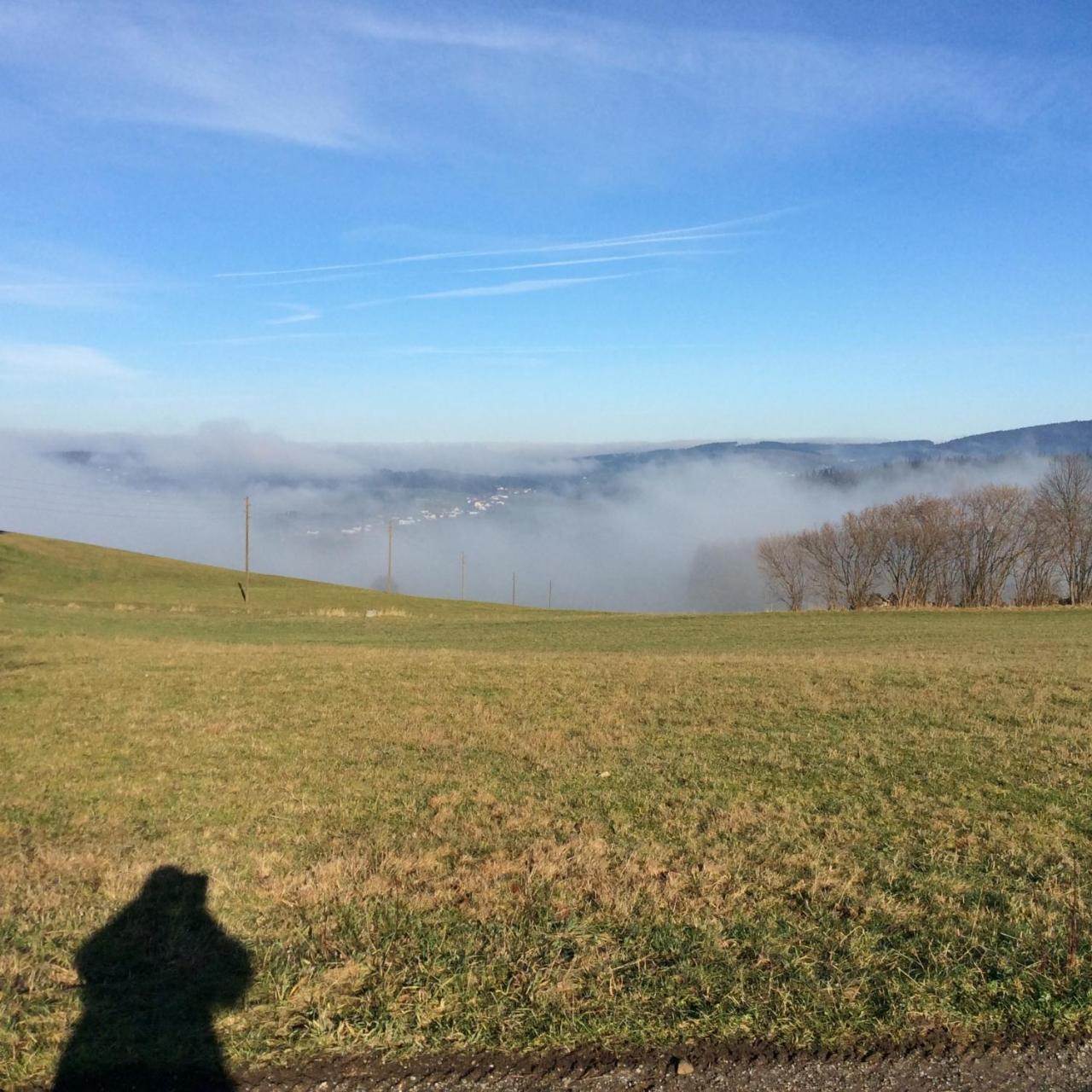 Ferienbauernhof Koller Villa Helfenberg Bagian luar foto