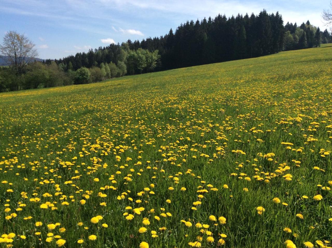 Ferienbauernhof Koller Villa Helfenberg Bagian luar foto
