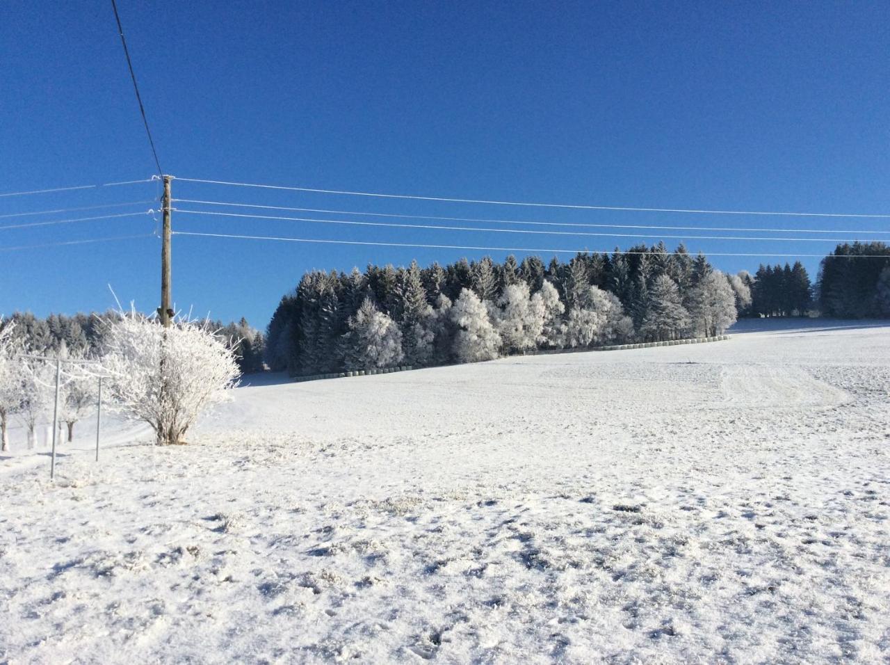 Ferienbauernhof Koller Villa Helfenberg Bagian luar foto