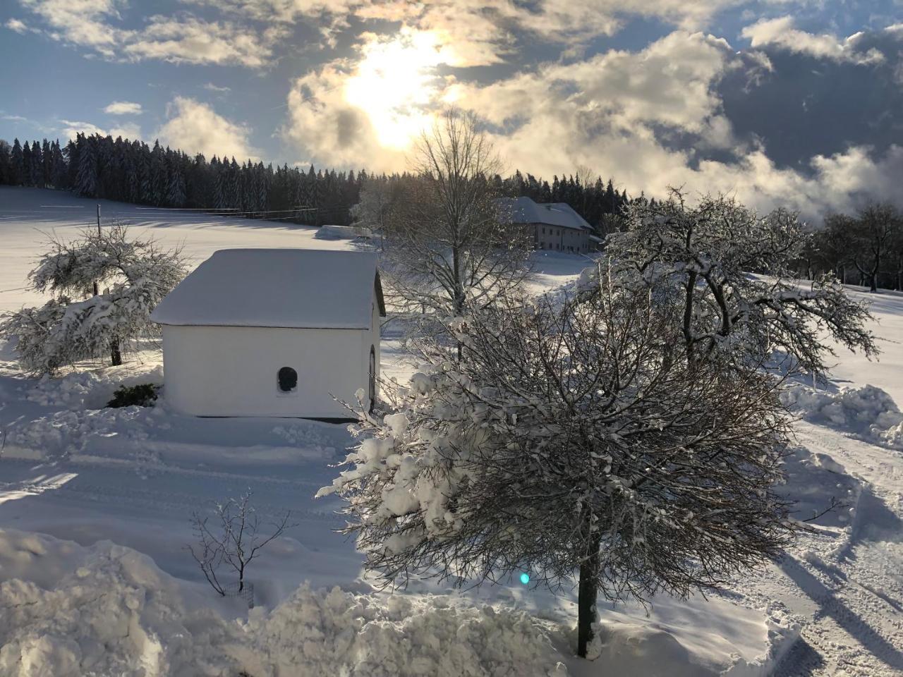 Ferienbauernhof Koller Villa Helfenberg Bagian luar foto